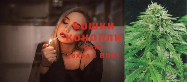 прущие грибы Богданович
