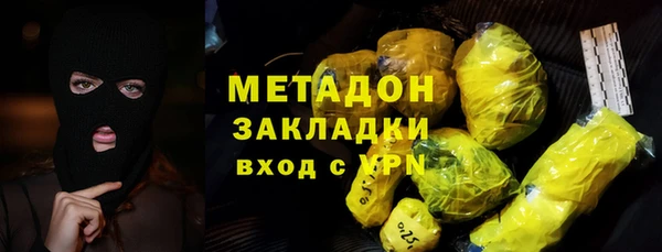 прущие грибы Богданович