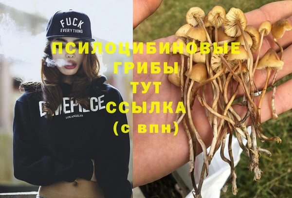 мефедрон Богородицк