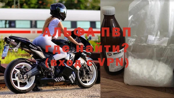прущие грибы Богданович