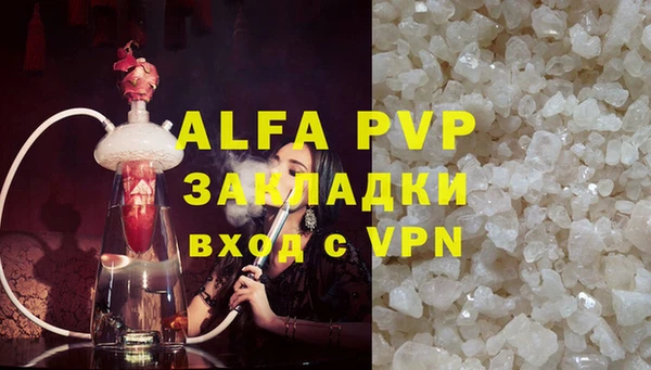 прущие грибы Богданович