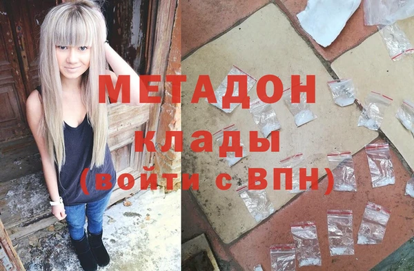 прущие грибы Богданович