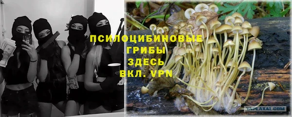 прущие грибы Богданович