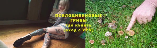 а пвп мука Богородск