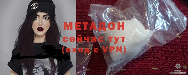 прущие грибы Богданович